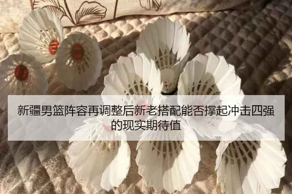 新疆男篮阵容再调整后新老搭配能否撑起冲击四强的现实期待值（ngyule）