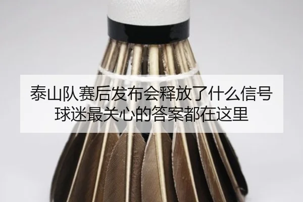 泰山队赛后发布会释放了什么信号 球迷最关心的答案都在这里（ngyule）