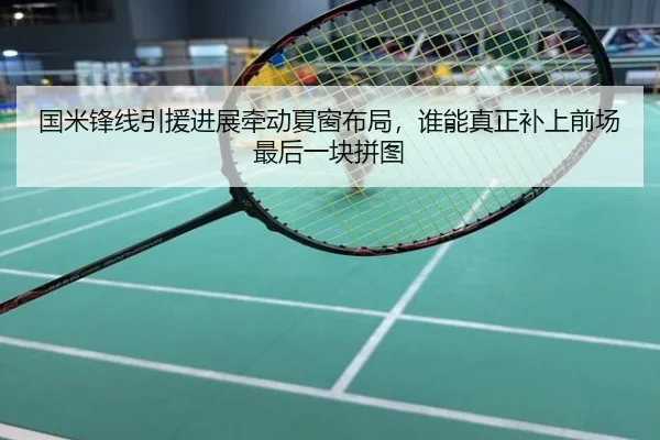 国米锋线引援进展牵动夏窗布局，谁能真正补上前场最后一块拼图（ngyule）